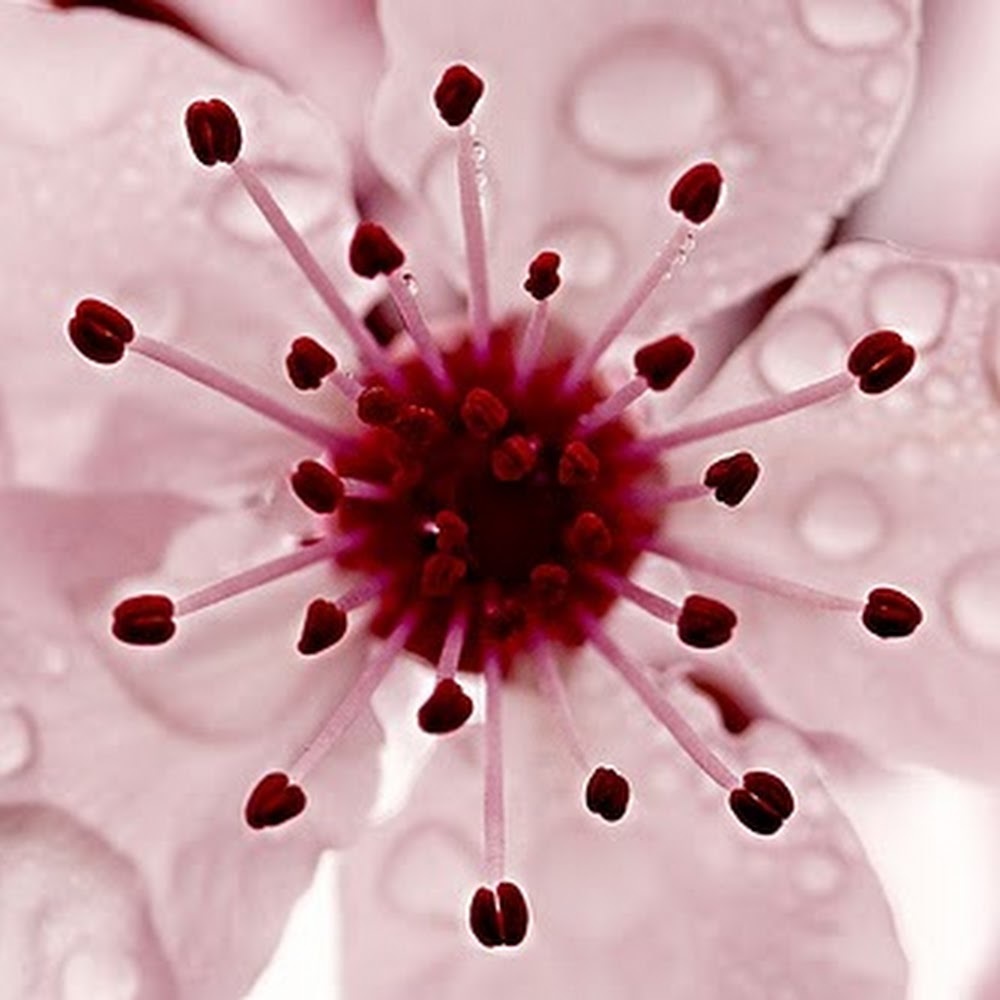 Meet your Posher, Esther